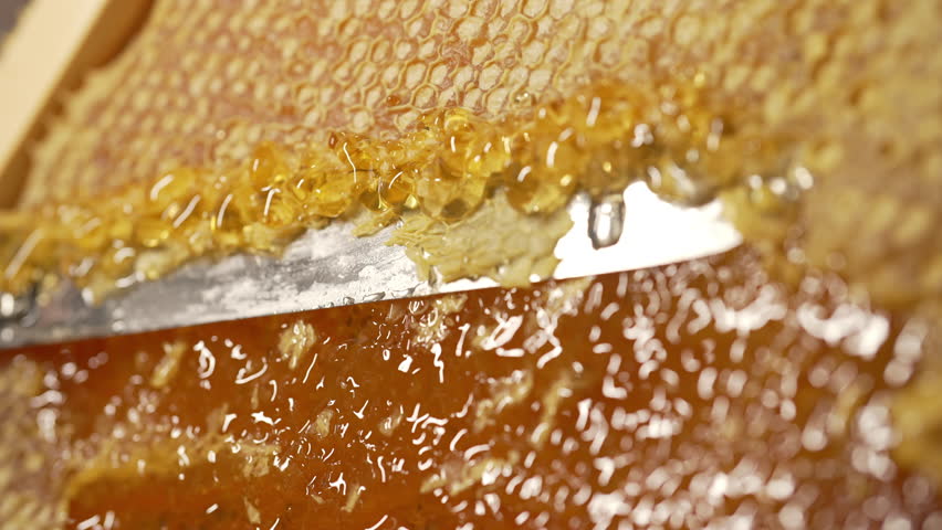 Beekeeper Manually Cutting Sealed Honeycomb Knife From Frame. Honey Production  - Powered by Shutterstock - Get 15% off with code: PIKWIZARD15