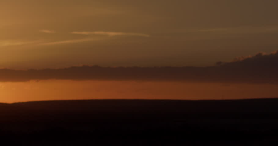 extreme wide pan shot of a Lioness (Panthera Leo) gazing at the savanna as the sunset shines through its legs in kenya