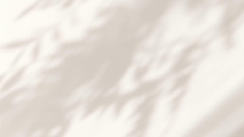 Abstract silhouette overlay shadows white background of natural leaves tree branch falling on wall. Transparent blurry shadow leaf in morning sun light