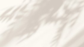 Abstract silhouette overlay shadows white background of natural leaves tree branch falling on wall. Transparent blurry shadow leaf in morning sun light - Powered by Shutterstock - Get 15% off with code: PIKWIZARD15