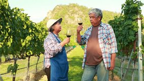 Couple drinking wine in a vineyard : Happy portrait senior asian vineyard farmer couple who grow grapes produce quality red wine celebrate with glass delicious red wine with satisfaction. - Powered by Shutterstock - Get 15% off with code: PIKWIZARD15