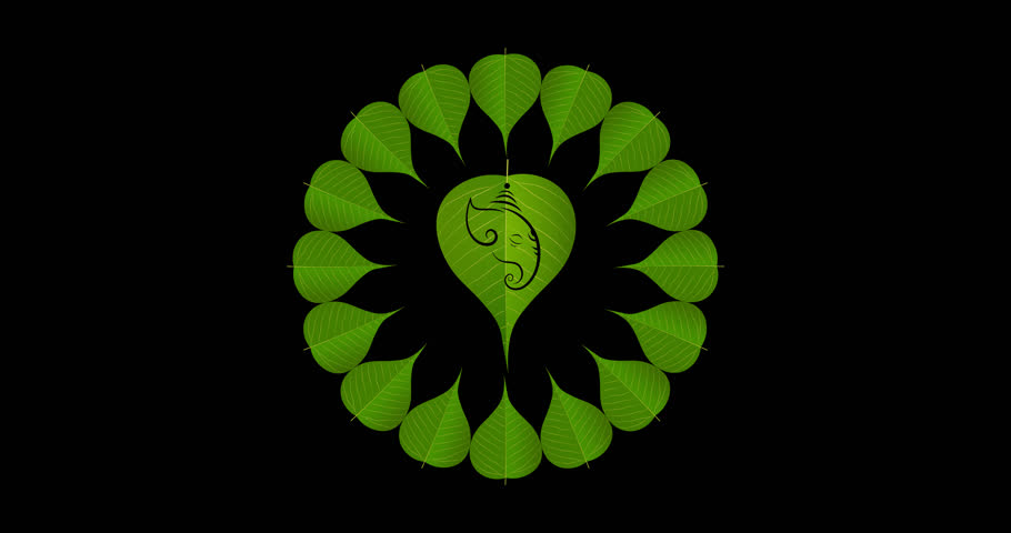 peepal leaf ganpati motion graphics on transparent background (alpha). design for Hindu Auspicious Occasion and Ganesh chaturthi festival.