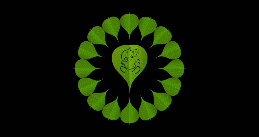 peepal leaf ganpati motion graphics on transparent background (alpha). design for Hindu Auspicious Occasion and Ganesh chaturthi festival.