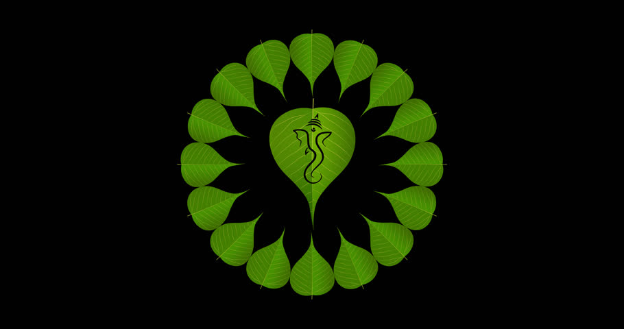 peepal leaf ganpati motion graphics on transparent background (alpha). design for Hindu Auspicious Occasion and Ganesh chaturthi festival.