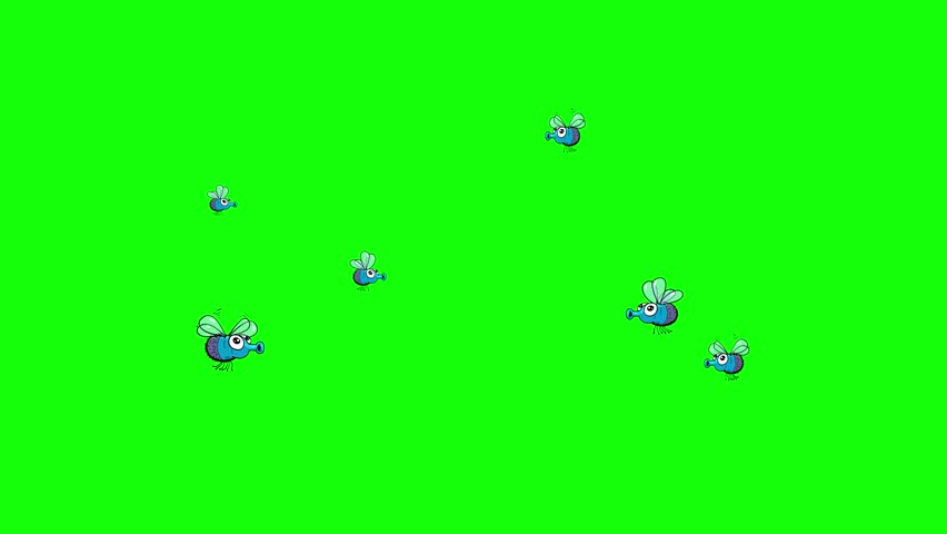 Cartoon flock of flies greenbox. Funny insects characters ready for a meal. Put something at the bottom of movie. Seamless loop isolated.