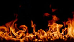 Fire, burning flame. Tongues of orange flame. Bright burning flames on a black background. Fire in slow motion. Wall of Real fire, abstract background. Dancing fire, Super slow motion video. - Powered by Shutterstock - Get 15% off with code: PIKWIZARD15