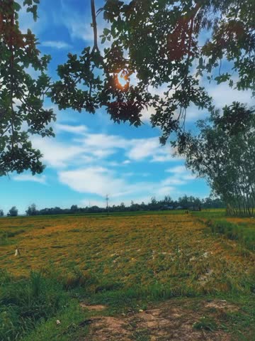 in the blue sky over green fields