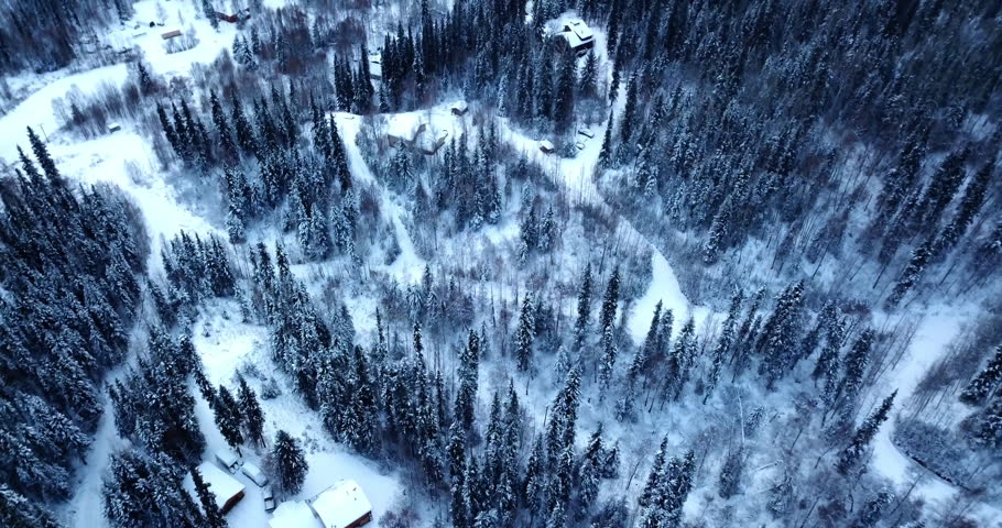Aerial Tilt Up Scenic Shot Of Log Cabins Amidst Forest Trees During Winter Season - Denali National Park, Alaska