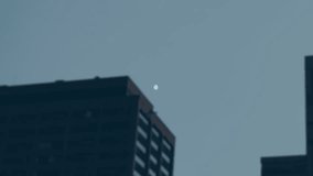 Network of connections and data processing animation over city building. Technology, digital, connectivity, urban, innovation, smart city - Powered by Shutterstock - Get 15% off with code: PIKWIZARD15