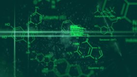 Chemical formulas and data processing animation over green digital background. Science, technology, innovation, analytics, chemistry, futuristic - Powered by Shutterstock - Get 15% off with code: PIKWIZARD15