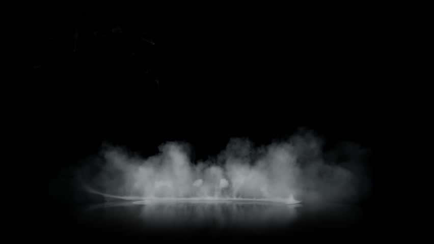 Shutterstock Video