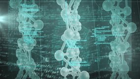 DNA molecules and binary coding, scientific data processing animation. Science, technology, genetics, bioinformatics, computation, digital - Powered by Shutterstock - Get 15% off with code: PIKWIZARD15