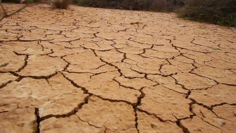 Dry cracked soil in a desert
