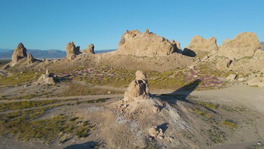 Cinematic aerial shot of wildflower super bloom covering Trona Pinnacles at sunrise in Mojave Desert in California, USA