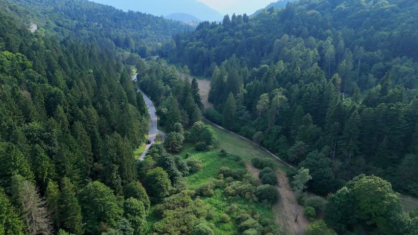 Black car moving along winding road in wooded valley - Powered by Shutterstock - Get 15% off with code: PIKWIZARD15