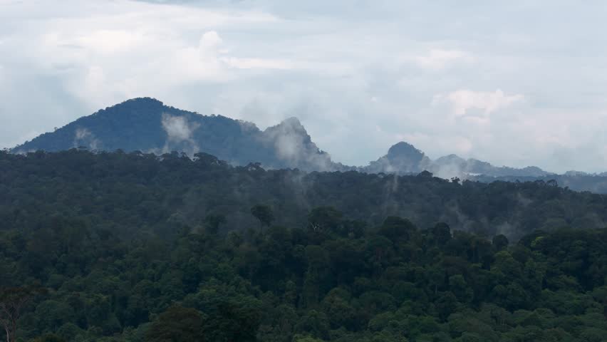 the heart of Borneo Kalimantan