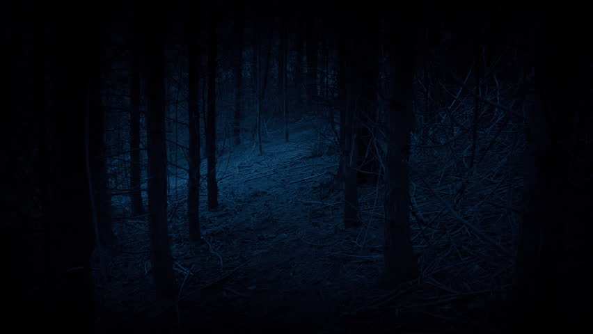 Walk Through Creepy Woods In The Dark

