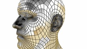 3D Wireframe Human Head with Reflective Grid and Iridescent Colors - Powered by Shutterstock - Get 15% off with code: PIKWIZARD15
