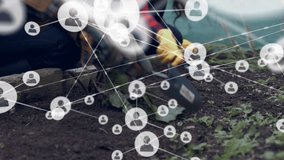 Gardening with network connections animation overlays scene. connectivity, technology, networking, digital, horticulture, futuristic - Powered by Shutterstock - Get 15% off with code: PIKWIZARD15