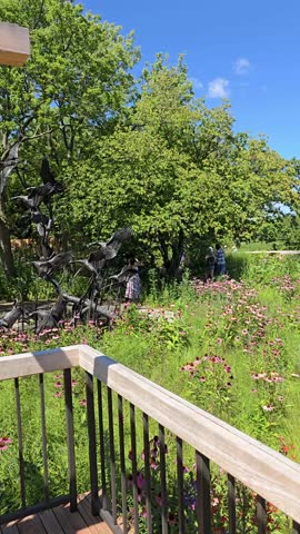 panning footage of a rippling lake with lush green trees, plants and grass, blue sky, clouds and people at Chicago Botanic Garden in Glencoe Illinois USA