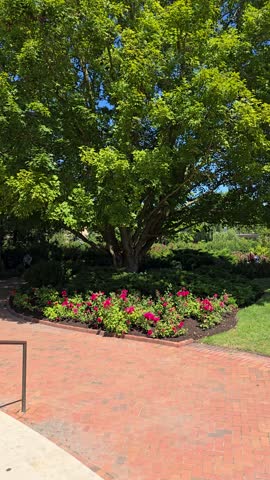 panning footage of colorful flowers, lush green trees, plants and grass, people walking and a water fountain, blue sky and clouds at Chicago Botanic Garden in Glencoe Illinois USA