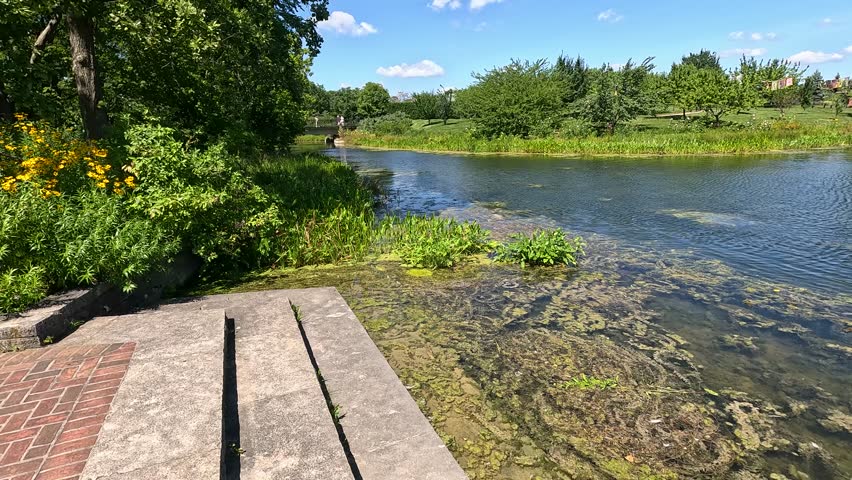 panning footage of a rippling lake with lush green trees, plants and grass, blue sky, clouds and people at Chicago Botanic Garden in Glencoe Illinois USA