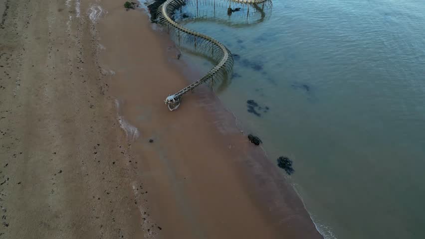 Aerial view of the serpent d