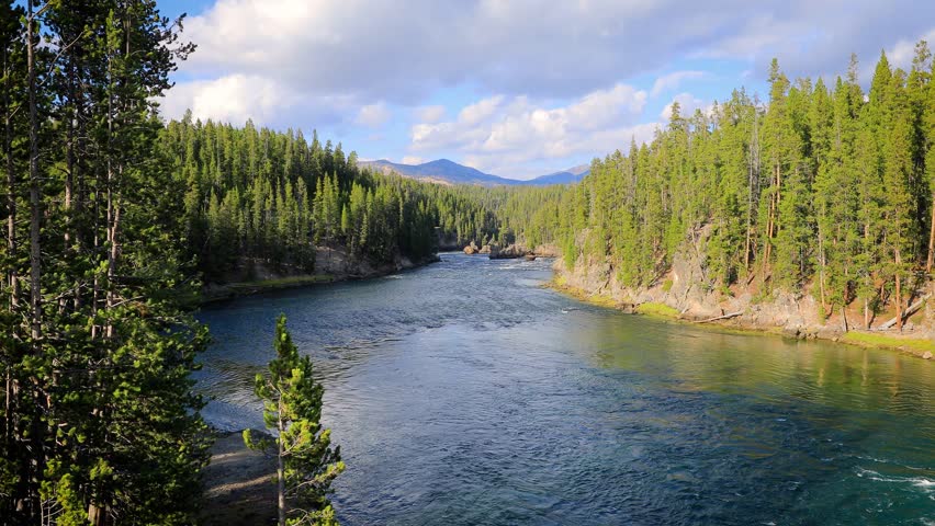 Rapids in the Yellowstone River in Yellowstone National Park, Wyoming.