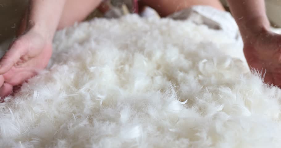 Woman with white feathers on pillows. Soft quality feather filler