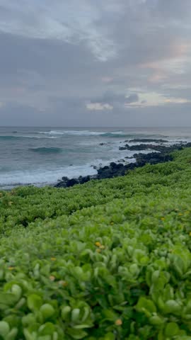 Ocean Views in Poipu Beach