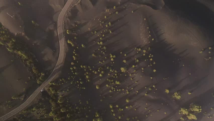 Aerial view of arid volcanic landscape with winding road and trees, Area Recreativa El Pilar, Parque Natural de Cumbre Vieja, La Palma, Canary Islands, Spain.