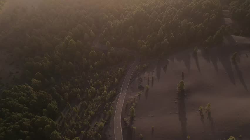 Aerial view of tranquil woodland with winding road and trees at sunset, Area Recreativa El Pilar, Parque Natural de Cumbre Vieja, La Palma, Spain.