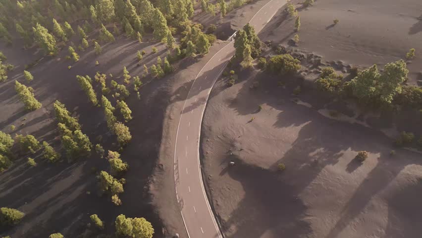Aerial view of winding road through tranquil pine forest in Parque Natural de Cumbre Vieja, La Palma, Canary Islands, Spain.