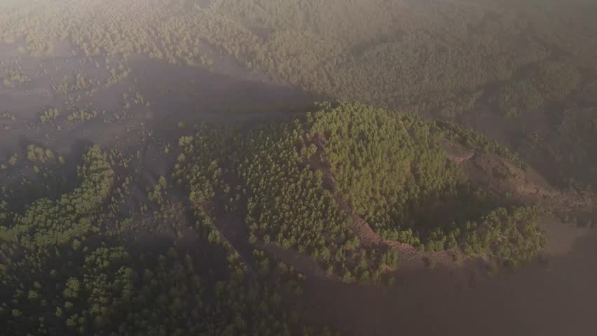 Aerial view of the beautiful forest and mountain landscape with trees and valley, Area Recreativa El Pilar, Parque Natural de Cumbre Vieja, La Palma, Canary Islands, Spain.