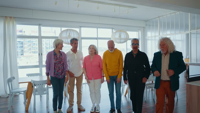 Group of seniors friends meeting in a beutiful rooftop apartment.