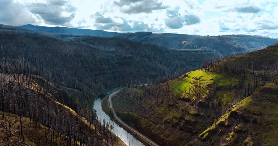 Flight over the narrow river winding among the mountains in Oregon State, the USA. Dry tree trunks from pine trees covering the rocks. Aerial view.