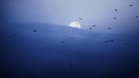 Flock of wild birds black crows are flying in night sky with moon light. Black birds ravens move in heaven dusk twilight blue color. Gothic nature landscape. Dark silhouette of Bird flapping wings. - Powered by Shutterstock - Get 15% off with code: PIKWIZARD15