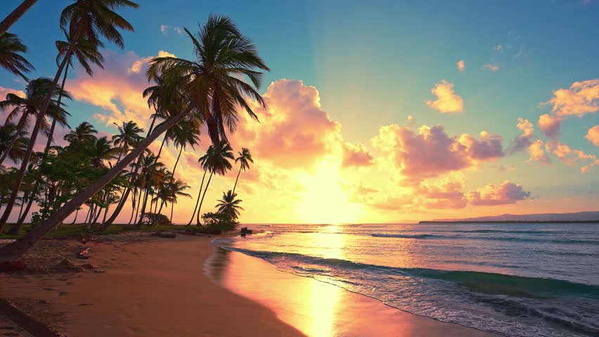 Summer sunny landscape of sunset sea beach. Evening sky reflected on wet sand. Sunset sun on sea surface. Beautiful sunrise over tropical beach. Green palm trees against orange sky. Evening twilight.