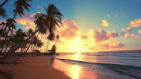 Summer sunny landscape of sunset sea beach. Evening sky reflected on wet sand. Sunset sun on sea surface. Beautiful sunrise over tropical beach. Green palm trees against orange sky. Evening twilight. - Powered by Shutterstock - Get 15% off with code: PIKWIZARD15