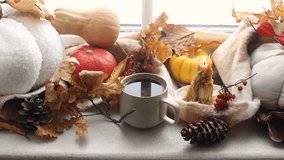 Cozy fall. Warm cup of tea and pumpkins, fall leaves and candle on windowsill. Autumn hygge footage. Happy Thanksgiving. Hello autumn. - Powered by Shutterstock - Get 15% off with code: PIKWIZARD15