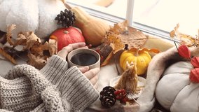 Hello autumn. Hands in sweater holding warm cup of tea and pumpkins, fall leaves and candle on windowsill. Autumn hygge footage, ugc concept - Powered by Shutterstock - Get 15% off with code: PIKWIZARD15