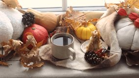 Hands in sweater holding warm cup of tea and pumpkins, fall leaves and candle on windowsill. Autumn hygge footage, ugc concept. Hello autumn - Powered by Shutterstock - Get 15% off with code: PIKWIZARD15