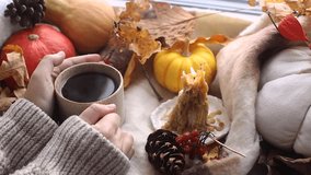 Cozy fall. Hands in sweater holding warm cup of tea and pumpkins, fall leaves and candle on windowsill. Autumn hygge footage. Hello autumn - Powered by Shutterstock - Get 15% off with code: PIKWIZARD15