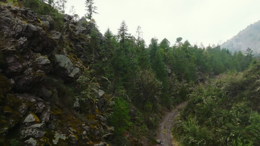Tracks On The Rugged Mountains Near Colima