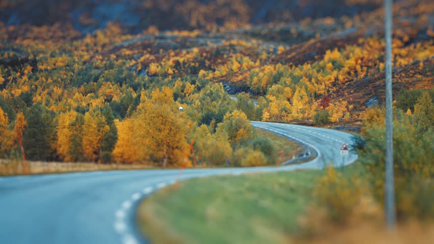 A narrow asphalt road winds through the autumn landscape in northern Norway.