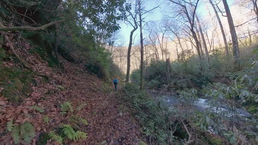 Catching up to Man Hiking on leaf Covered Trail next to Deep Creek in the Smokies