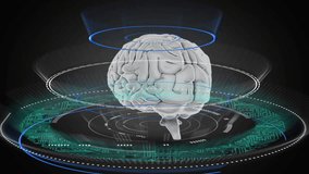Digital circuits and holographic rings surrounding brain, showcasing futuristic technology animation. innovation, sci-fi, cyber - Powered by Shutterstock - Get 15% off with code: PIKWIZARD15