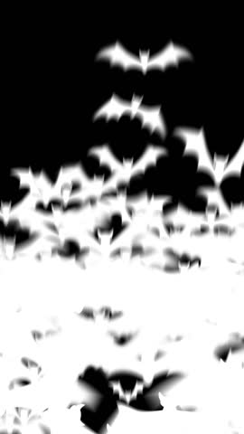 A spooky 2D video transition featuring a black bat flying across the screen. Perfect for Halloween-themed projects, adding a dark and eerie touch.