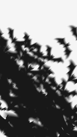 A spooky 2D video transition featuring a black bat flying across the screen. Perfect for Halloween-themed projects, adding a dark and eerie touch.