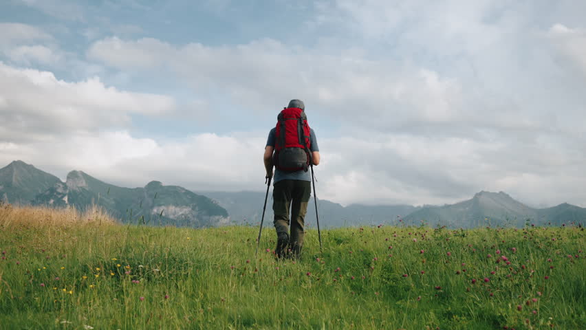 Shutterstock Video